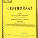 сертификат участника городского семинара